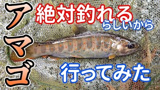 櫛田川にアマゴ釣りに行ってみた #1