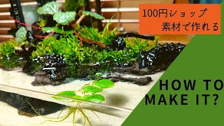 [Made with 100 yen material! ] How to make an aquaterrarium that anyone can easily start