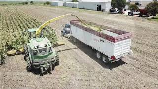 Friesen Harvesting 2020 Hillsboro, Texas