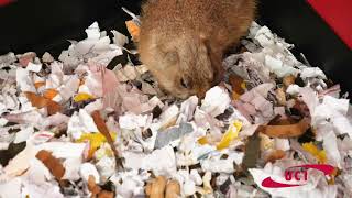 UCI Documents Shredding