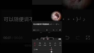 我的lj剪映教学,震动闪白