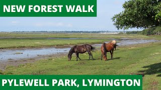 NEW FOREST WALK at PYLEWELL PARK near LYMINGTON (NEW FOREST NATIONAL PARK)