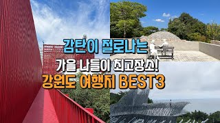 한번 가보면 만족도 높아  가고 또 가보고 싶은 전시관,  MZ 세대들도 열광하는 문화공간과 카페 3곳. 자연과 더불어 걷기 좋은 길, 조각품 감상은 덤. 데이트장소로 최고!