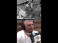 joe rogan watches hitler on drugs