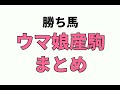 【32760円的中】地方競馬 2023年5月17日【ai予想払い戻し】