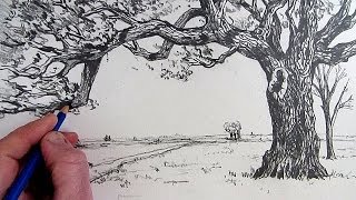 How To Draw A Tree: Narrated step by step