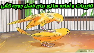 تغییرات و آماده سازی برای فصل جوجه کشی