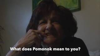 My Pomonok: Growing Up in a Queens NY Housing Project