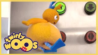 Twirlywoos | More About High and Low | Shows for Kids