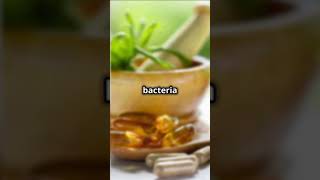 ProDentim: The Probiotic Solution for Gums \u0026 Teeth Health