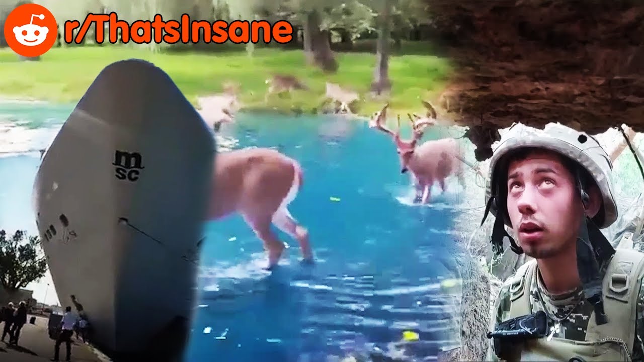 Best Of Reddit R Thatsinsane 3 Youtube