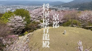 2022年4月9日 将軍塚青龍殿の桜を散策 【京都の桜🌸】4K Touring Kyoto in Japan