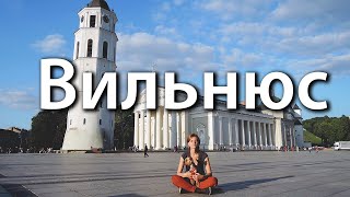 Один день в Вильнюсе / Woof Travel (путешествия с собакой на машине)