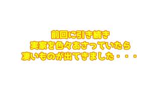 【お見せします】実家帰省企画第２弾！学生時代につくったカードゲームを紹介！！