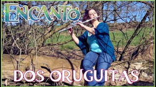 Dos Oruguitas - Disney Encanto Chill Flute Cover