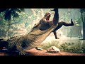 All Location Crocodiles Kill Monkeys In Ancestors: The Humankind Odyssey