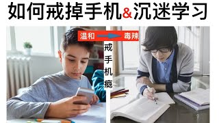 【逼你自律】如何戒掉手机，沉迷学习？从温和到毒辣，一键戒瘾