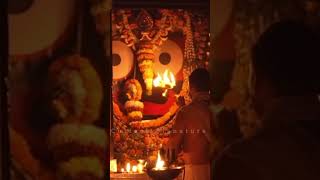 Shree Jagannatha Mangal Aarti Darshan| Maagha month blessings| Shree Mandir Puri| Cuttack Signature🚩