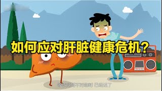 肝脏有多重要？吃什么可以养肝护肝？如何保护肝脏健康？