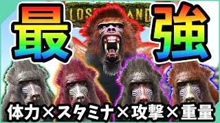 【ARK】最強『ディノピテクス』ブリーディング！ステータス厳選テイム！俺の屍を超えてゆけ【ロストアイランド】