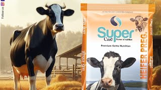 part 1 _Super care cattle feed is helping dairy  farmers to reduce Repeat breeding problem