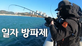 You could catch yellow tail at breakwater in Korea