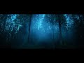 INTERIM FULL ALBUM MIX - AUGUST WILHELMSSON