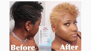 BLEACHING MY JET BLACK HAIR INTO AN ASH BLONDE | WELLA T14