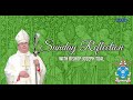 Bishop Toal's Sunday Reflection | Thirty Second Sunday of Ordinary Time