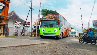 ayo tebak gambar bus telolet berubah jadi tayo,thomas,lani,train eater,mcqueen,rogi bus ramah