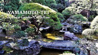 A small Japanese Garden where people from all over the worldI | YAMAMOTOTEI