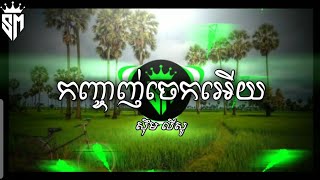 កញ្ចាញ់ចេកអើយ - សឹុម លីសូ Khmer Remix ( Prod DJz DaRa ) 2025