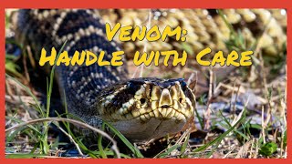 Venom: Handle with Care - A story about the zookeepers who care for venomous snakes.