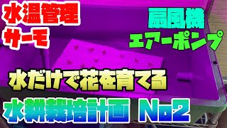 【水耕栽培】【機材導入】　水だけで花（トルコギキョウ）を育てる計画 No2