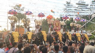 മരട്ടിൽ കൊട്ടാരം ഭഗവതി ക്ഷേത്രം പകൽ പൂരം live | marattil kottaram bhagavathi temple festival 2024