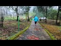 a walk in the mist sakleshpur the kaduhithlu resort weekend trips from bangalore