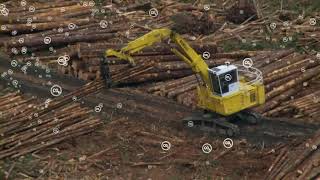 Proforestation: A simple solution to a complex problem
