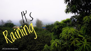 Raining | Greenery | Rishikesh | Uttarakhand | YouTube #Shorts