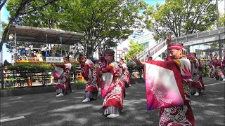 神奈川県 躍動・表参道アヴェニュー2024年8月25日。