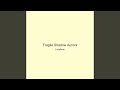 Fragile Shadow Aurora
