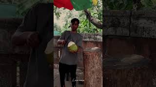 Fresh Coconut Water - Fruit Cutting Skills  #youtubeshorts #karikku #kerala #summer