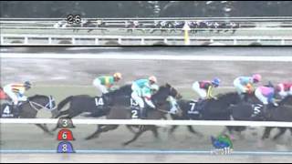 2014/1/13 京都11R 淀短距離s 芝1200良 ③レディオブオペラ