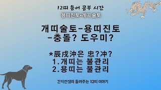 진술충辰戌沖-개띠-용띠를 통해 진술충을 알아보자~충돌이냐? 도우미역할이냐? 12지 성분을 알면 12띠가 더 분명해진다.