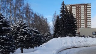 Пойдёмте прогуляемся со мной 🌲❄️ Рубрика Прогулка ❄️