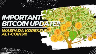 🚨IMPORTANT UPDATE!!🚨BUAH MANIS KESABARAN | PENTINGNYA DATA HISTORICAL | WASPADA KOREKSI DI ALT-COINS