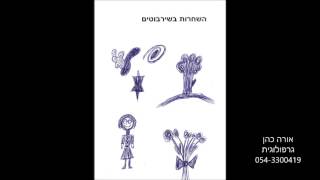 גרפולוגיה - שרבוטים , אורה כהן גרפולוגית