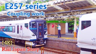 E257 ODORIKO Limited Express Coupling at Atami Station, August 2021