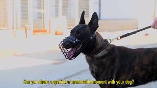 Inside the IDF's Oketz Canine Unit