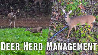 Deer Herd Management: Doe Harvest Objectives \u0026 Browse Impact (832)