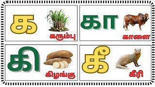 க கா கி கீ கு | உயிர்மெய் எழுத்துக்கள் | க முதல் கௌ வரிசை | ka kaa ki kee | tamil uyirmei ezhuthukal